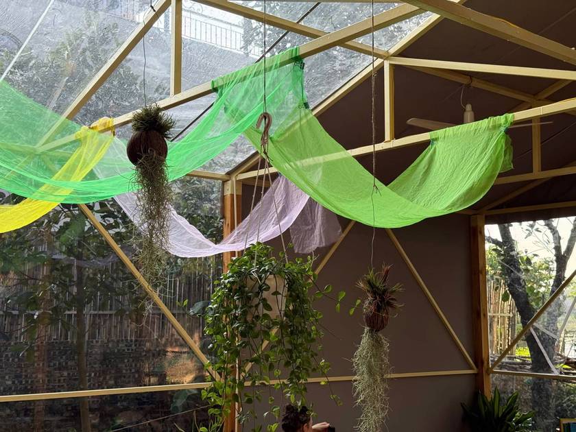 Green and yellow fabric draped beneath the clear roof, with hanging plants and air plants